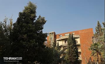 اینجا کارگاهه؛ منطقه شانزده 2