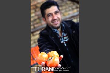 نخستین جشنواره خرمالو در روستای کشار سفلی 5