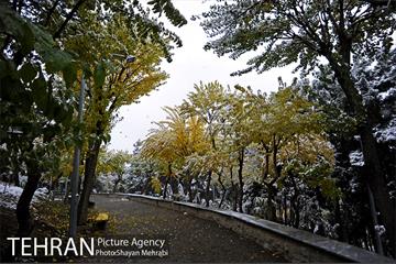 بارش برف پاییزی در بوستان طالقانی 13
