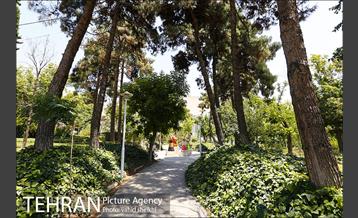 بوستان شفق 14