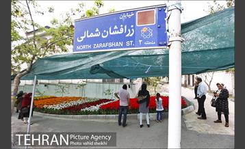 پیاده راه لاله برای مادران 34