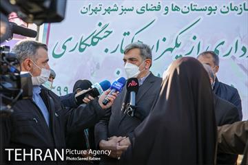 بازدید و افتتاح پروژه جنگل کاری 1000هکتاری در بوستان جنگلی تلو 36