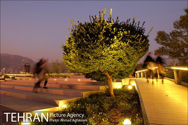 تور عکاسی طبیعت و شهر 19