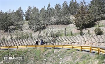 روز طبیعت در پارک جنگلی لویزان 24