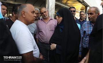 الحاق 100 دستگاه تاکسی برقی به ناوگان تاکسیرانی شهر تهران 31