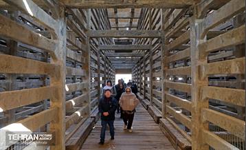 بازدید سفرا کشورهای خارجی از منطقه ۲۰ 58