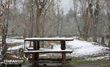 بارش برف زمستانی در بوستان سرخ حصار 16