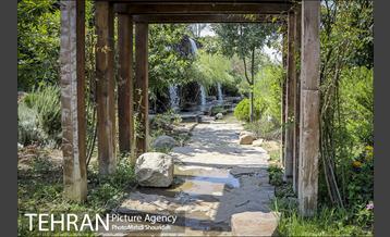 تنفس طبیعت زیبای منطقه ۷ در روزهای حضور کمرنگ شهروندان 3