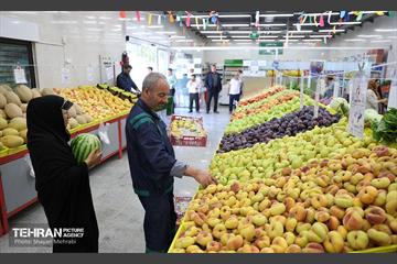 بازار میوه و تره‌بار مرواردید 28
