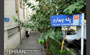 یوسف آباد، بی باغ و بی آسیاب 18