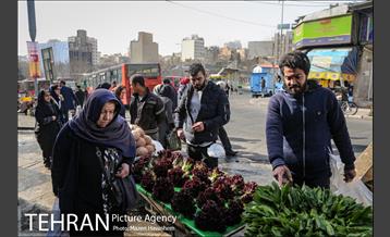 محله تجریش 13