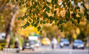 سمفونی رنگ های پاییزی  26