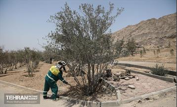 اینجا کارگاهه؛ پروژه بام ری 14