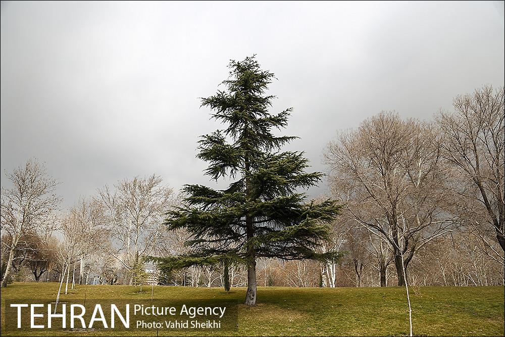پارک ملت در یک روز زمستانی 2