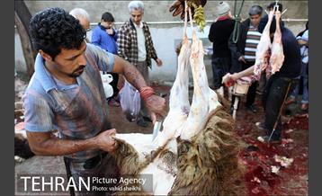 بازار فروش دام در محله طرشت به مناسبت عید قربان 21