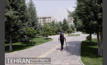 آیین افتتاح و بهره برداری از 120 پروژه منطقه 5 شهرداری 17