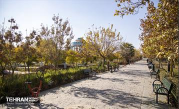 سمفونی رنگ های پاییزی - بوستان رازی 29