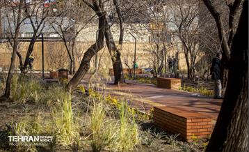 باغ گلاریس 5