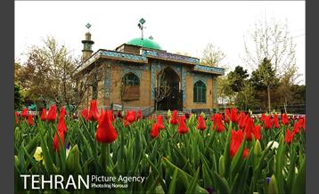 طبیعت بهاری بوستان پلیس  8