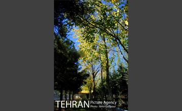 شهرک صدرا 24