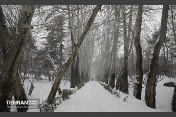 روز برفی تهران - 2 29