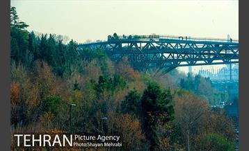 پاییز اراضی عباس آباد 8