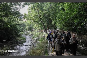 همایش پیاده روی خانوادگی در رود دره فرحزاد 71
