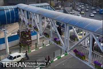 گل آرایی پل سیدخندان 7