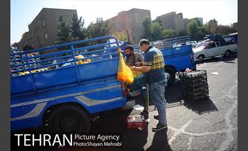 میوه فروشان خیابانی 18