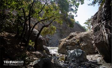 شهرنگار؛ درکه 19