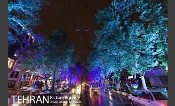 نورپردازی درختان بلوار میرداماد 17