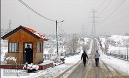 روز برفی پایتخت 20