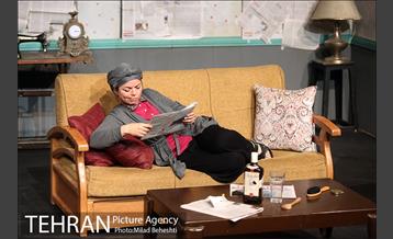 نمایش اثر پرتوهای گاما بر گل های همیشه بهار 13