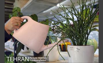 مرکز گل و گیاه ایوار 26