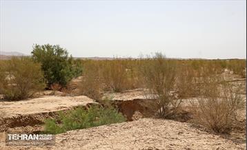 مهار زلزله خاموش 6