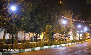 رفیوژ های همیشه سبز 3