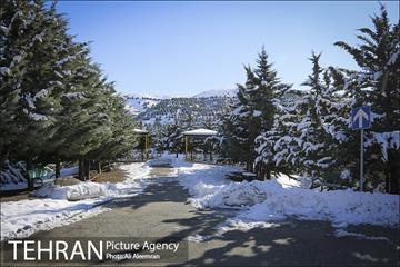طبیعت برفی تلو 8