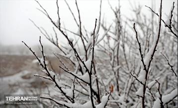 بارش برف زمستانی در تهران 36