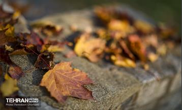 سمفونی رنگ های پاییزی - کاخ سعدآباد 26