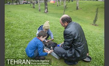 روز طبیعت بارانی در بوستان ملت 8