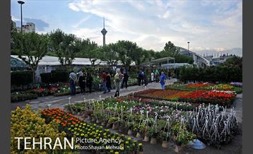 شانزدهمین نمایشگاه بین المللی گل و گیاه تهران - 2 3