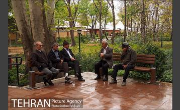 روز طبیعت بارانی در باغ ایرانی 8
