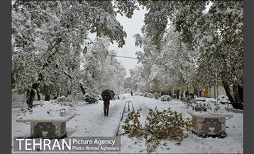 بارش اولین برف پاییزی در تهران 1
