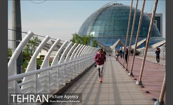 پیاده روی ۷۰۰ نفری در اراضی عباس آباد 37