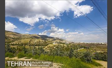 بوستان جنگلی کوهسار 17