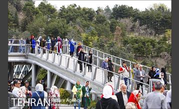 پل طبیعت در تعطیلات نوروز 6