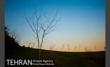 پاییز اراضی عباس آباد 39