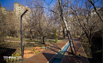 باغ گلاریس 21