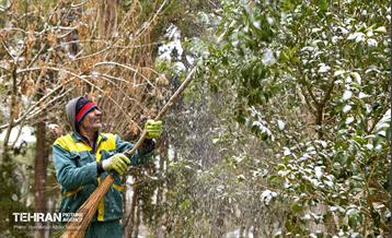 بارش برف زمستانی در منطقه 14