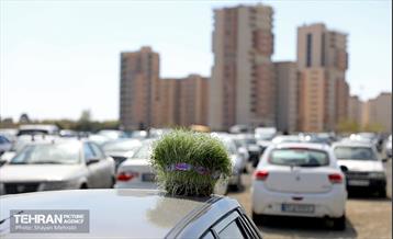 روز طبیعت در دریاچه چیتگر 1